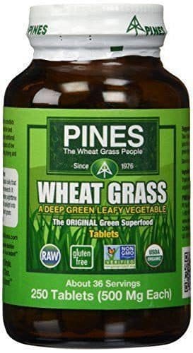 Pines International Wheat Grass