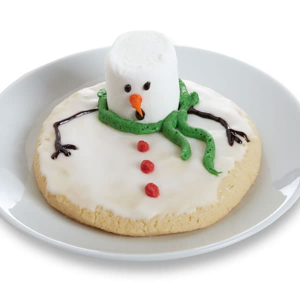 Hand Decorated Holiday Cookie