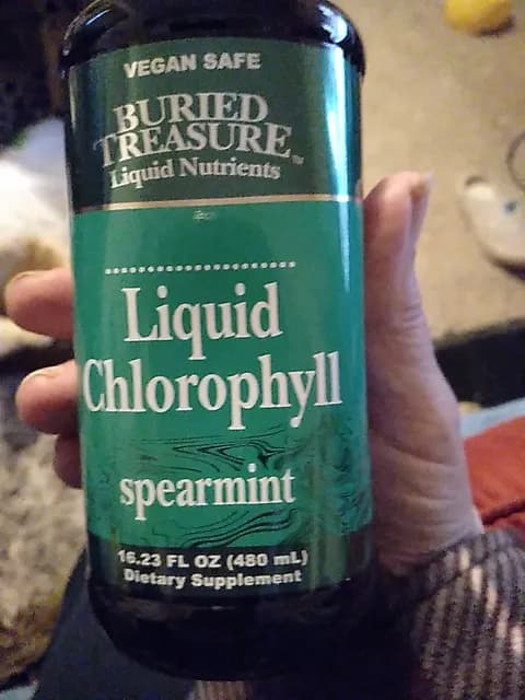 Buried Treasure Liquid Chlorophyll Spearmint