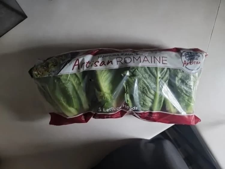 Tanimura & Anile Artisan Romaine 5 Lettuce Heads