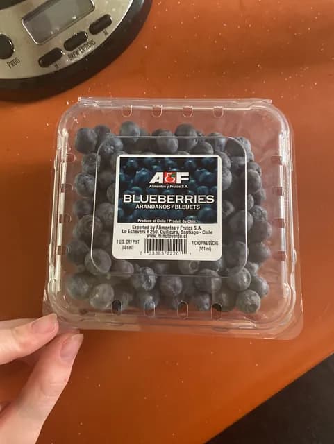 A&F Alimentos Y Frutos S.A. Blueberries
