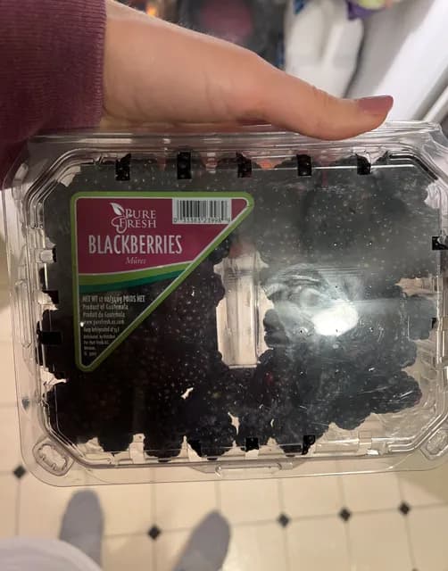Pure Fresh Blackberries