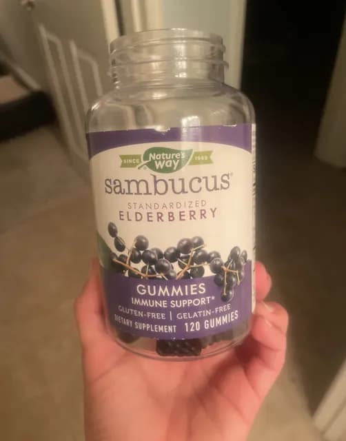 Nature'S Way Sambucus Standardized Elderberry Gummies