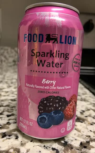 Food Lion Berry Sparkling Water