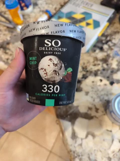 So Delicious Dairy Free Mint Chip