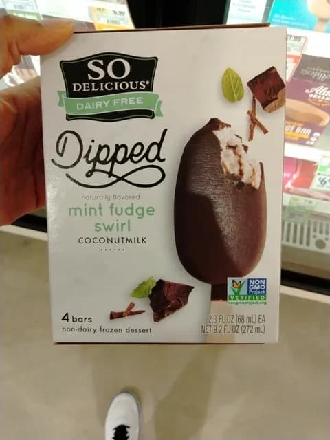 So Delicious Dipped Mint Fudge Swirl Coconut Non-Dairy  Dessert