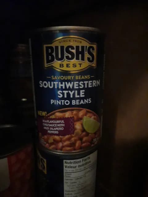 Bush'S Best Savoury Beans Southwestern Style Pinto Beans