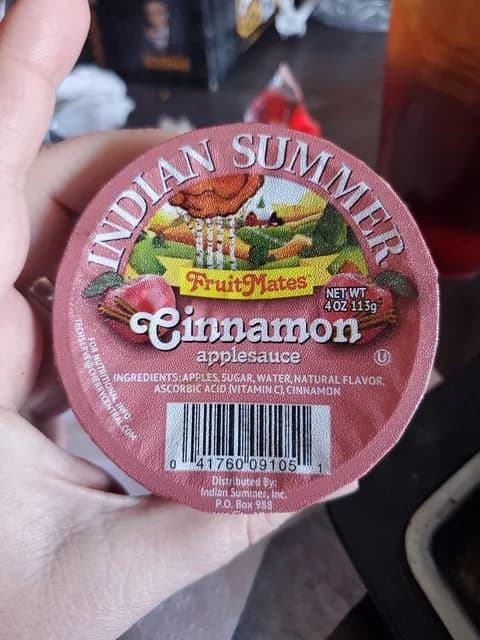 Indian Summer Fruit Mates Cinnamon Applesauce