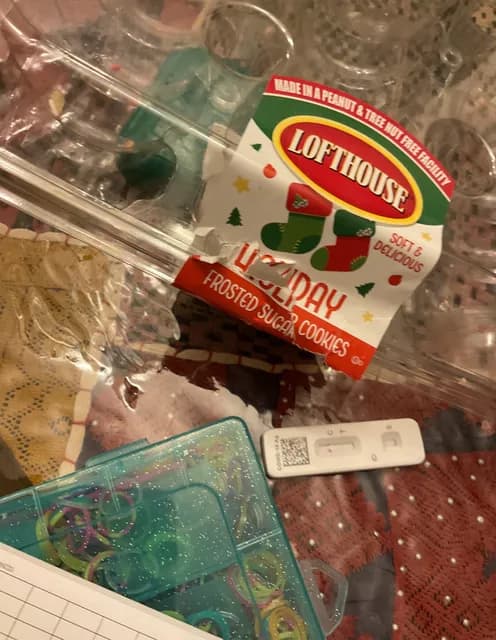 Lofthouse Holiday Frosted Sugar Cookies