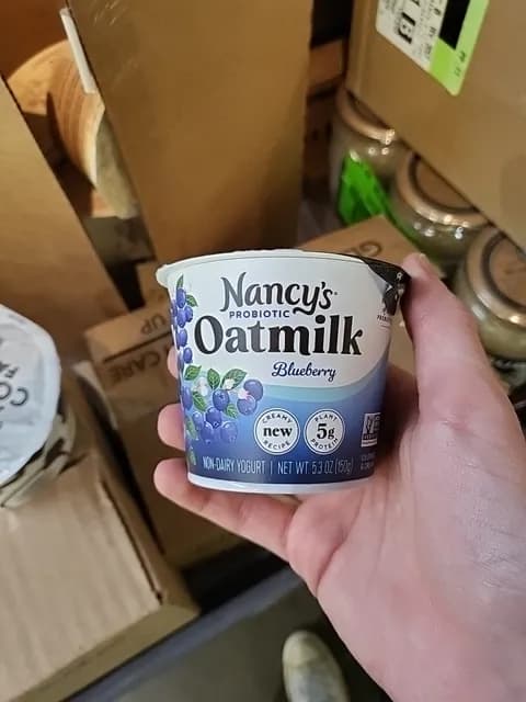 Nancy'S Probiotic Oatmilk Non-Dairy Blueberry Yogurt