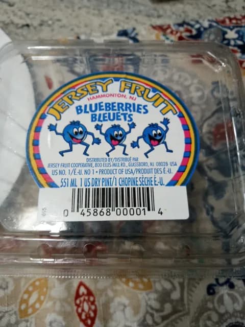 Jersey Fruit Blueberries