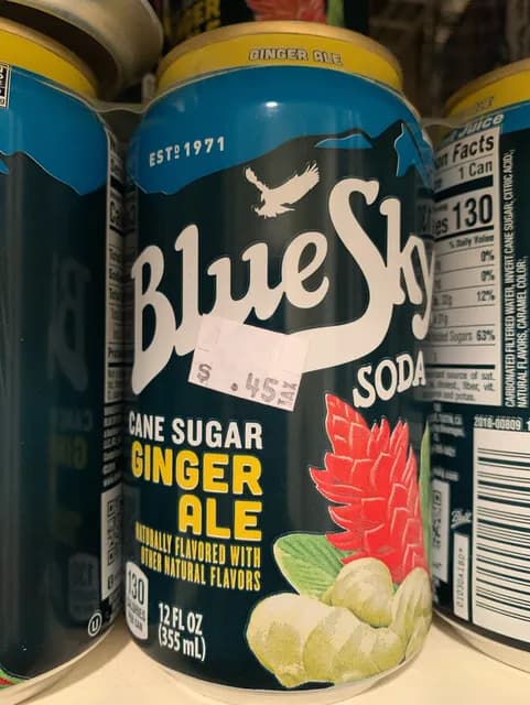 Blue Sky Soda Cane Sugar Ginger Ale