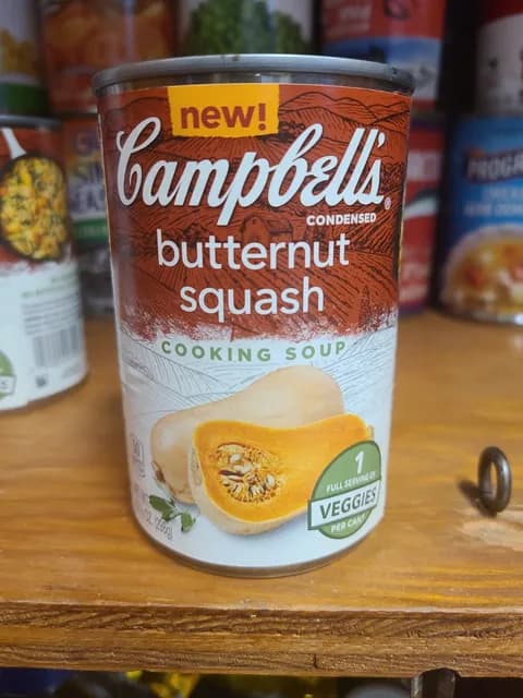 Campbell'S Butternut Squash Condensed Cooking Soup
