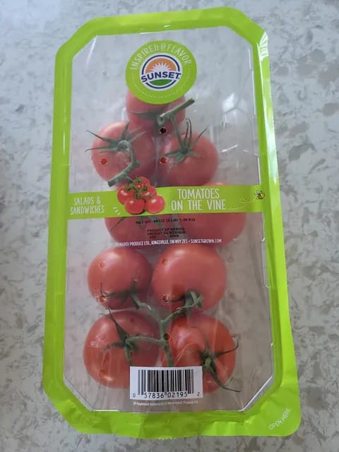 Sunset Tomatoes On The Vine
