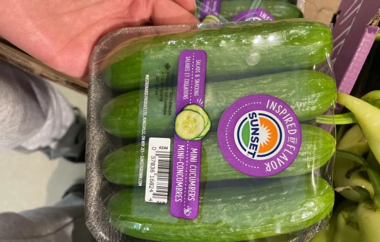 Sunset Mini Cucumbers