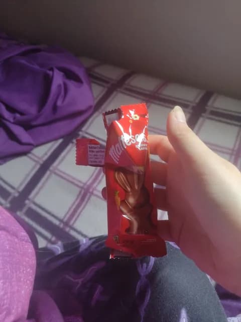 Maltesers Bunny Lapin Candy