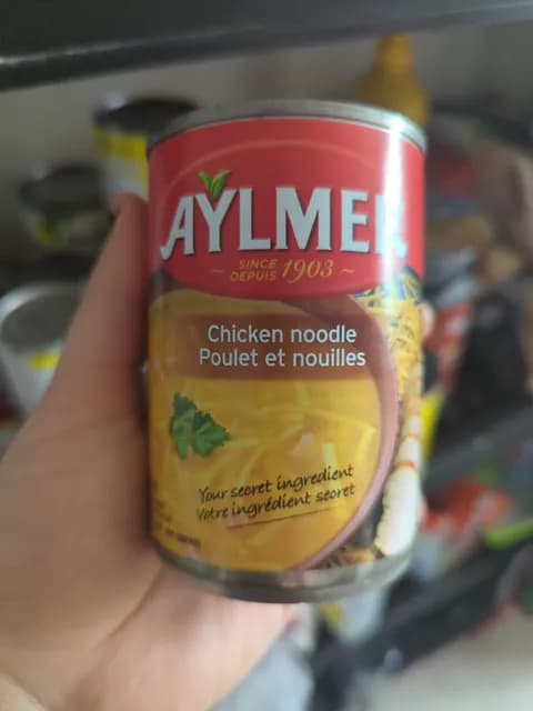 Aylmer Chicken Noodle Condensed Soup