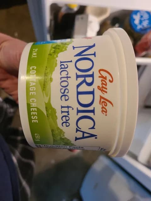 Gay Lea Nordica Lactose Free Cottage Cheese