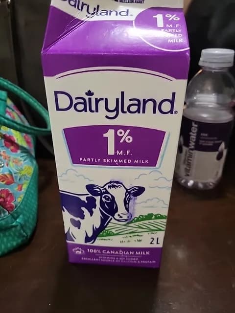Dairyland 1% M.F. Partly Skimmed Milk