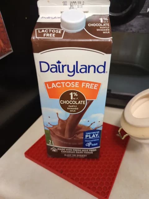 Dairyland Lactose Free 1% Chocolate Partly Skimmed Milk