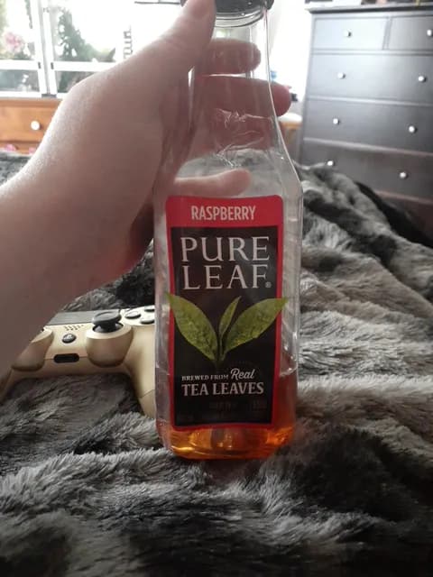 Pure Leaf Raspberry Tea Leaves