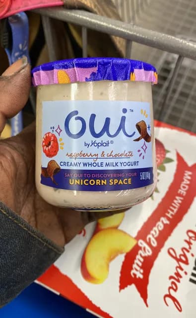 Oui By Koplait Raspberry & Chocolate Creamy Whole Milk Yogurt