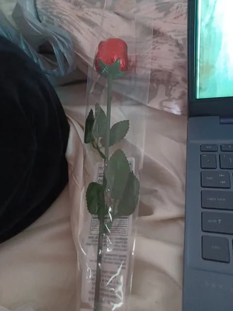 Belgian Milk Chocolate Rose