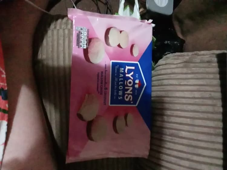 Lyons Coconut Mallows Cakes