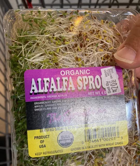 The Sproutman Organic Organic Alfalfa Sprouts