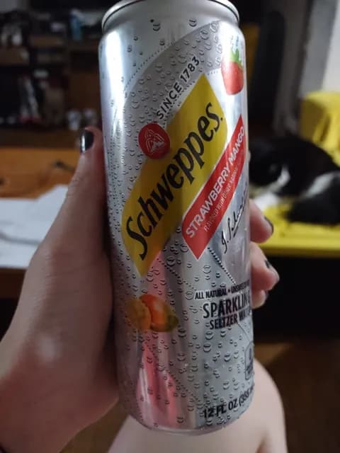 Schweppes Strawberry Mango Sparkling Seltzer Water