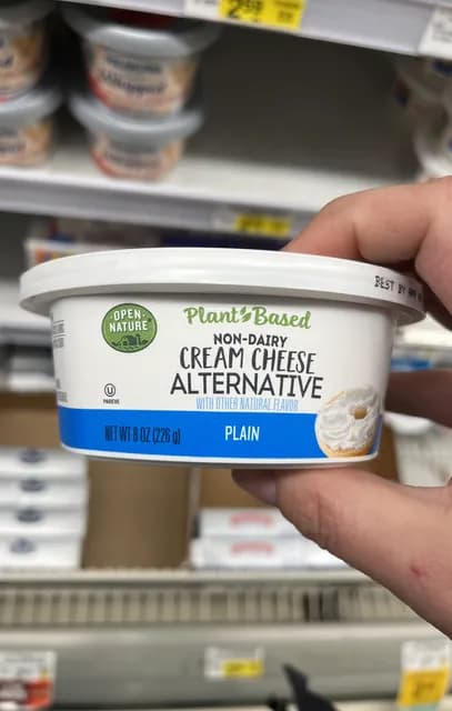 Open Nature Plant-Based Non-Dairy Cream Cheese Alternative Plain