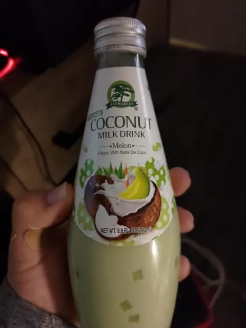 Evergreen Non Dairy Coconut Milk Drink Melon Flavor With Nata De Coco