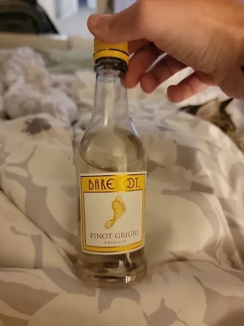 Barefoot American Pinot Grigio