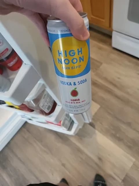 High Noon Sun Sips Guava Vodka & Soda