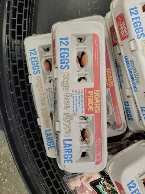 Noah'S Pride 12 Cage Free Brown Large Eggs