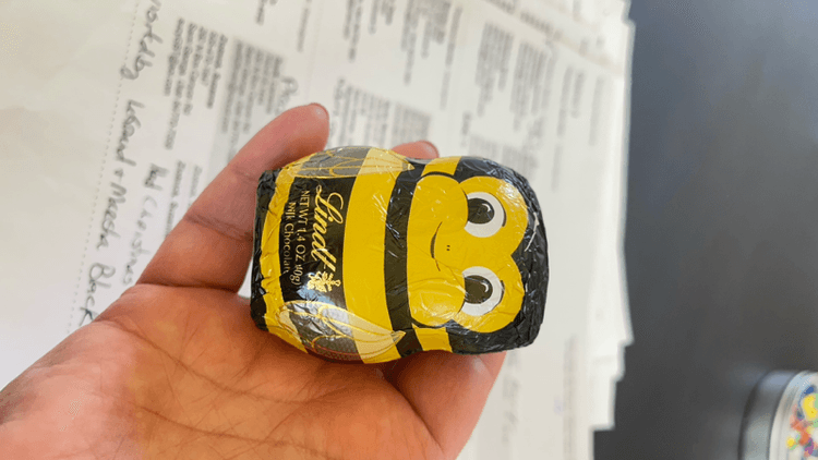 Lindt Bee Milk Chocolate
