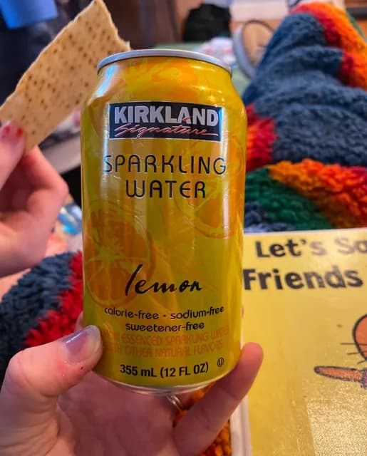 Kirkland Signature Lemon Sparkling Water