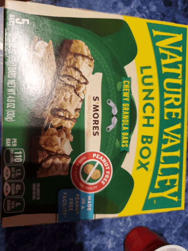 Nature Valley Lunch Box S'Mores Flavored Chewy Granola Bars