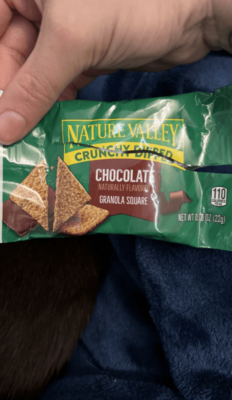 Nature Valley Chocolate Crunchy Dipped Granola Square