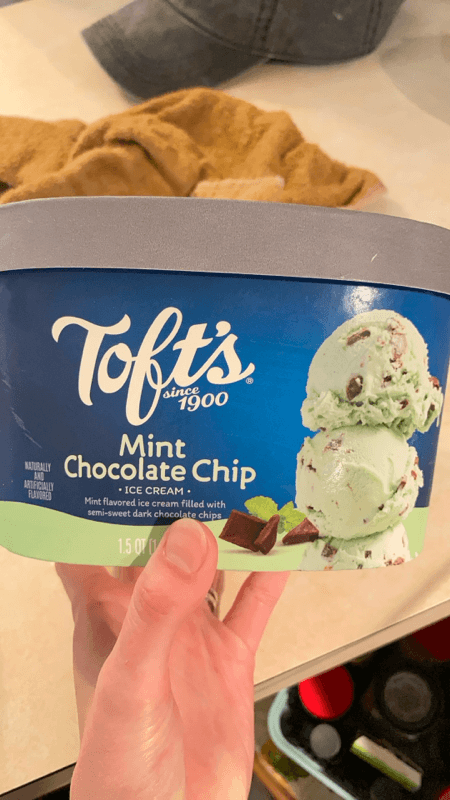 Toft'S Mint Chocolate Chip Ice Cream