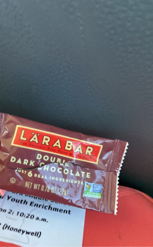 Larabar Double Dark Chocolate
