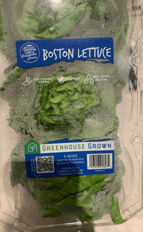 Tanimura & Antle Greenhouse Grown Boston Lettuce