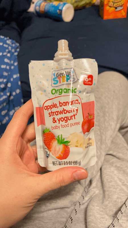 Gentle Steps Organic Apple, Banana, Strawberry & Yogurt Baby Food Puree