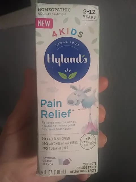 Hyland'S Pain Relief 4 Kids, Natural Grape Flavor
