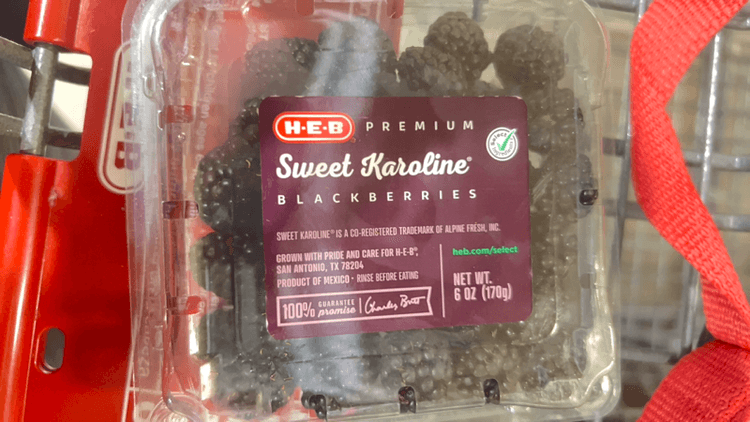 H·E·B Premium Sweet Karoline Blackberries
