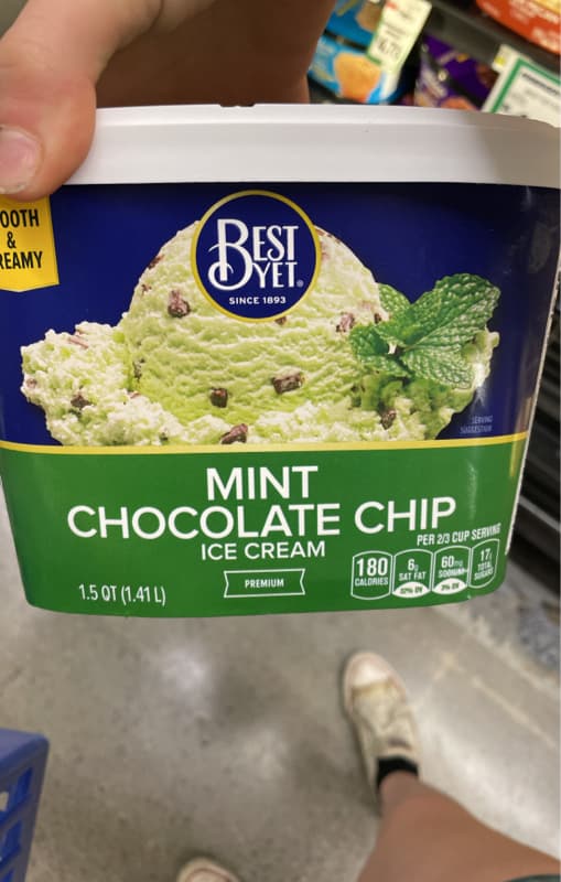 Best Yet Mint Chocolate Chip Ice Cream