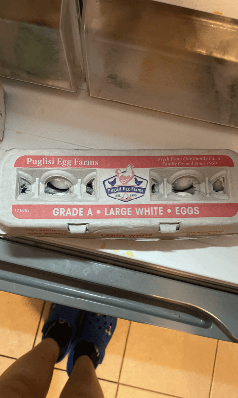 Puglisi Egg Farms Large White Eggs