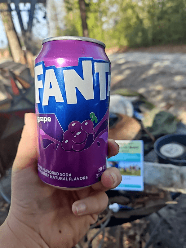 Fanta Grape Flavored Soda