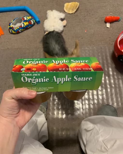Trader Joe'S Organic Apple Sauce