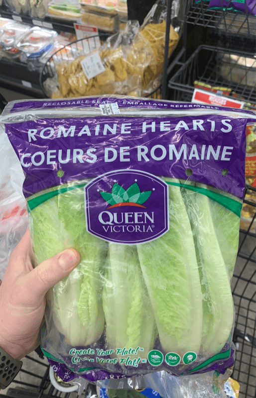 Queen Victoria Romaine Hearts